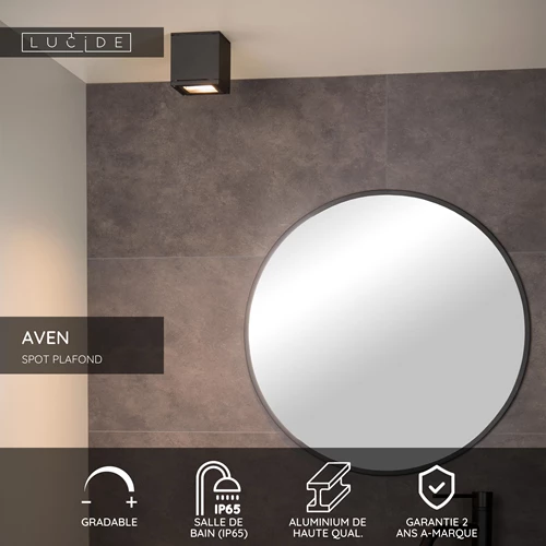 Lucide AVEN - Spot plafond Salle de bains - 1xGU10 - IP65 - Noir - USP